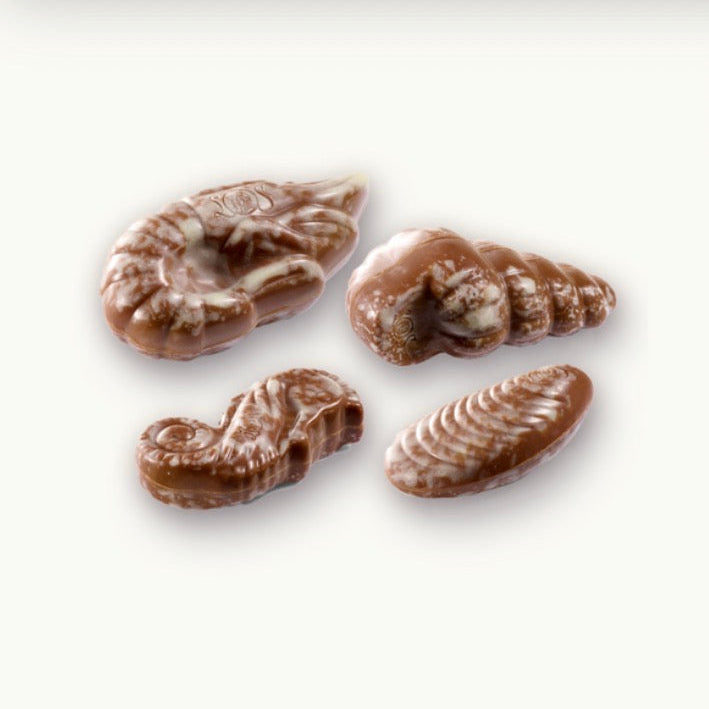 Fruits de mer lait